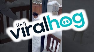 Husky Refuses to Come Inside After a Fresh Snowfall || ViralHog