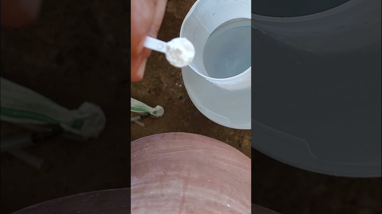 مرحلة علاج وا وقاية الحمام من 