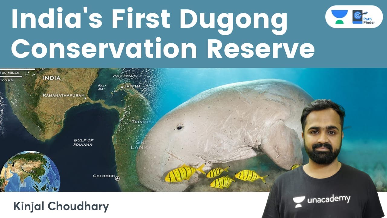 Tamil Nadu To Establish India's First Dugong Conservation Reserve in Palk Bay | Sea Cow | Manatees