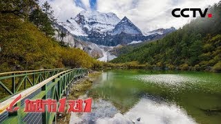 《城市1对1》 20180219 幸福之城 中国·稻城——巴布亚新几内亚·拉包尔 | CCTV中文国际