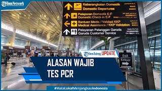 Satgas Ungkap Alasan Penumpang Pesawat Wajib Tes PCR