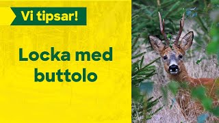 Locka med buttolo!