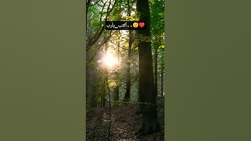 تلاوة مؤثرة _ٱكتب يآرب 😴💔#قران_كريم #المصحف #اكسبلور #لايك #دويتو #quran #explore #الرحمن