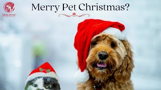 Merry Pet Christmas - How to Avoid Pet Pitfalls During the Christmas Season by Poppy Phillips 105 views 1 year ago 40 minutes