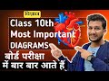 Class 10th Science के Most Important Diagrams बनाना सीखें || विज्ञान Class 10th के चित्र सीखें ||
