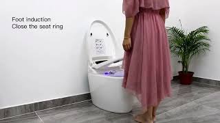A video shows you how convenient a smart toilet can be