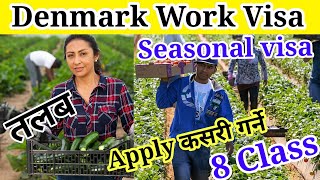 Denmark Work Visa 2025 | Seasonal Work Visa 2025 | Working Visa 2025 | Europe Working Visa 2025 new