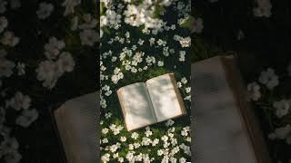 reading time 🍒🩷