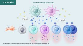 Part 1: The Role of TL1A in IBD