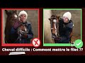 Technique pour mettre le filet  un cheval difficile
