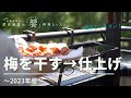 [饗#61］2023年梅干しの仕上げ（干すところ、梅酢に戻すところ、ハチミツ梅干しについても少し）