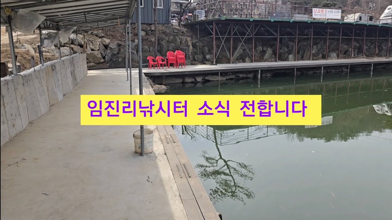 임진리낚시터 개장 🎣 어복 충만하세요 #임진리낚시터 