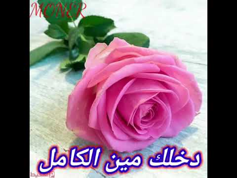 ياغالي بتضلك غالي حالات وتساب