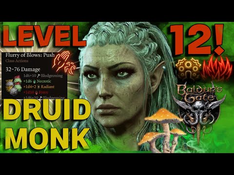 The BEST Spores Brawler Build! | Baldur's Gate 3 | Level 12 Build (Jaheira)