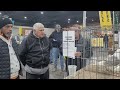 National pigeon show part 1