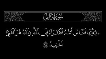 سورة فاطر الآية 15
