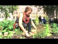 A community garden in the heart of Copenhagen