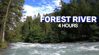 Enchanting River Relaxation | 4 Hours of Tranquility