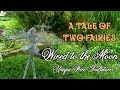 A Tale of Two Fairies - Wired to the Moon - Unique Wire Sculptures