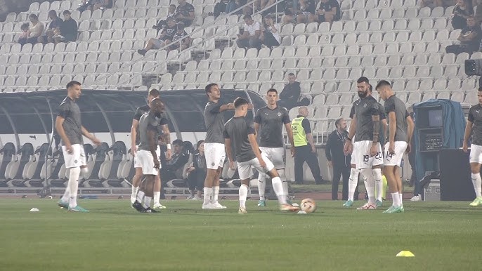 JSD Partizan fan blog in English: Javor Matis - FK Partizan 1:2 (superliga,  round 29)