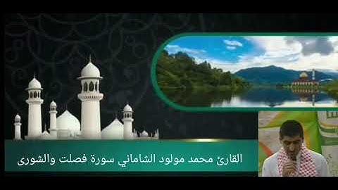 القارئ محمد مولود الشاماني سورة فصلت والشورى