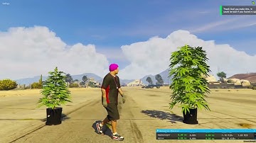 QBCore Kamkus_weedplanting