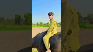 Akhtar hussain #unfrezzmyaccount #pawarholakhalidhobijatimere #account #ekmotahathighumechala #sarbe