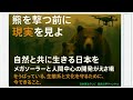 熊と日本