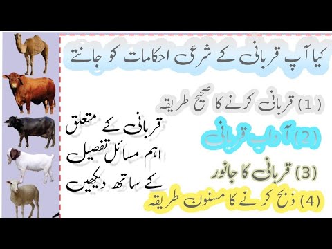 قربانی کے مسائل) جانور کو ذبح کرنے کا وقت اور مسنون طریقہ)   do you to know the evil orders of sacri