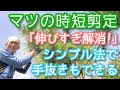 【マツ(松)の剪定】伸び放題でも小さくなる時短手入れを実演します(2024年10月)🌲👌