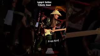 Lynyrd Nation Tribute Band - Parte Free Bird