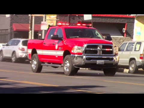 LAFD Light Force 90 & Plug Buggy 90 Responding
