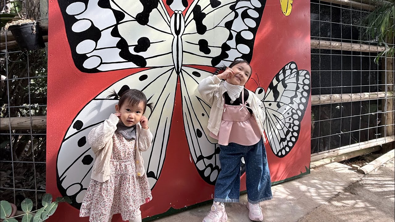 [VLOG] 12월 오키나와 두아이랑 여행 / 인천공항✈️ 파인애플파크 / 마하이나웰니스리조트4박5일 (1/2)