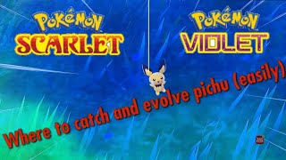 Pichu Location Early in Pokémon Scarlet And Violet Net Worth