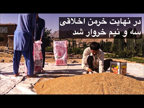 تصویری: بولتوس بولتوس کی و در چه ماهی برداشت می شود