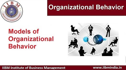 IIBM Institute | Organizational Behavior | Models of Organizational Behavior