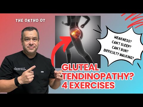 ✅ 4 Exercises