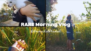 Life in Arunachal Pradesh | Morning walk with my cats 🐈 by miss.gyamar 167 views 2 months ago 7 minutes, 52 seconds