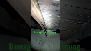 Attic Inspections Part