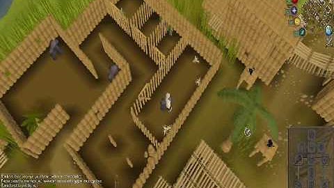 Monkey Madness Jail Escape Guide