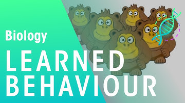 Learned Behaviour | Ecology & Environment | FuseSchool
