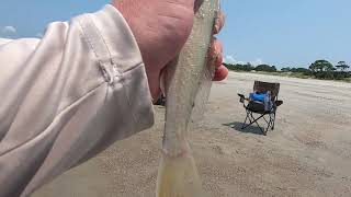 INSANE Double Up Surf Fishing Tybee Island Georgia