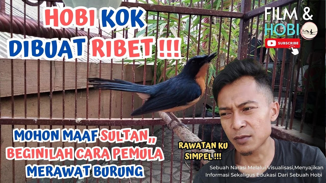 TIPS PERAWATAN BURUNG TLEDEKAN RUMAHAN