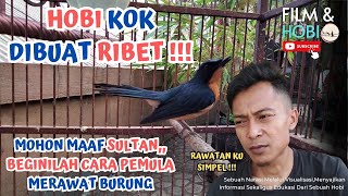Download lagu TIPS PERAWATAN BURUNG TLEDEKAN RUMAHAN