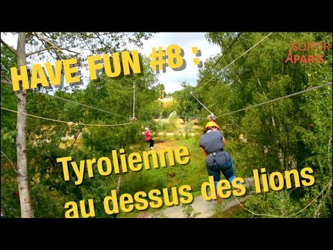 Have Fun :