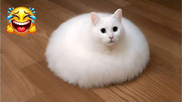 Watch the video about Funniest Animals 2025 🤣😅 New Funny Cats Videos 😸Part1...#cat #funnycats #viralcats