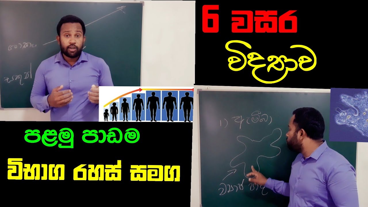 Grade 6 Science Lessons Sinhala Medium Episode 01 