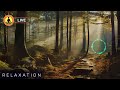 🔴 Relaxing Music 24/7, Healing Music, Meditation Music, Spa Music, Sleep, Zen, Moongate