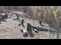 Wildfire Aftermath 1