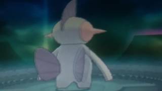 Kipper dun diddly evolved